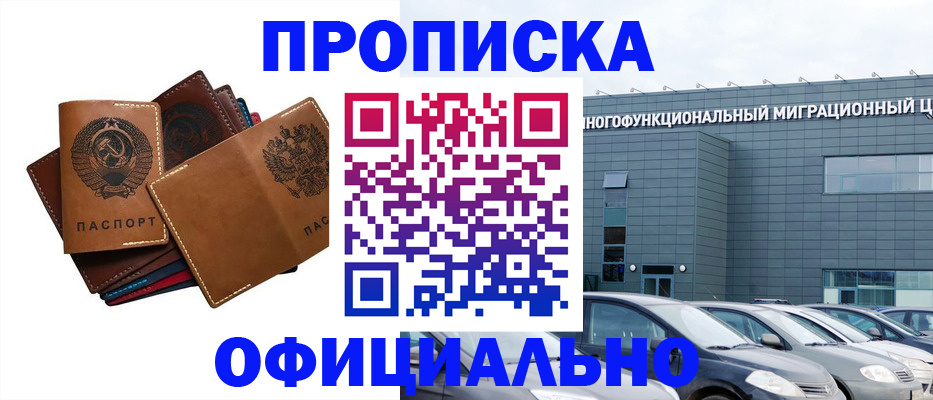 прописка в квартире в Щиграх